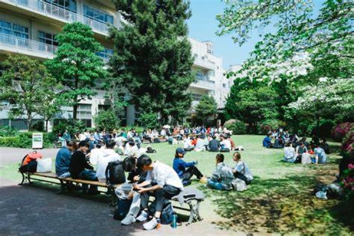光と学びの交差点——ホーイ記念館が“街のキャンパス”になるまで