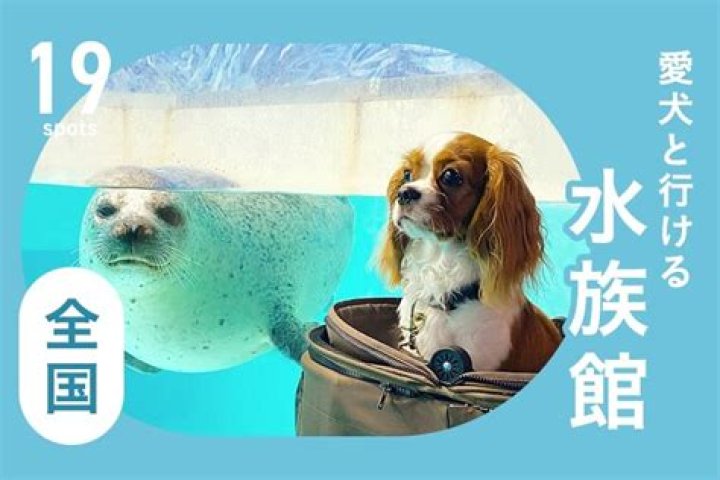 犬 連れ 水族館
